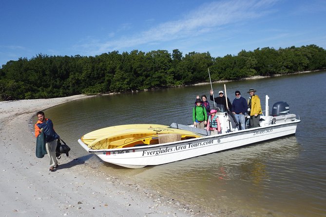 Small Group Boat, Kayak and Walking Guided Eco Tour in Everglades National Park - Tour Highlights List