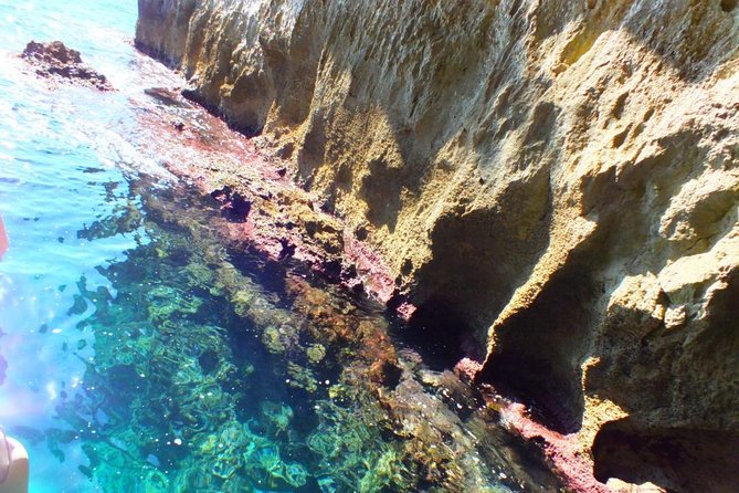 Small Group Boat Tour of Ortigia With Visits to the Caves and Swimming (Mar ) - Meeting Points and Logistics