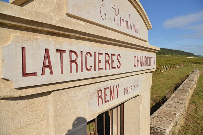 Small-Group Burgundy Tour With Wine Tastings From Dijon - Overall Experience