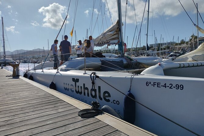 Small Group Dolphin Sunset Tour on Electric Catamaran Lanzarote - Common questions