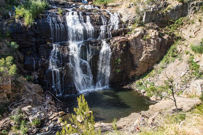 Small-Group Grampians Great Wilderness Escape Day Trip With Hiking - Customer Satisfaction and Feedback