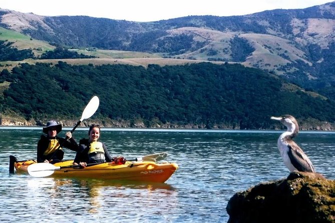 Small Group Guided Sea Kayaking in Akaroa Marine Reserve - Last Words