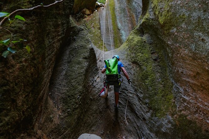 Small-Group Half-Day Canyoning in La Orotava - Common questions