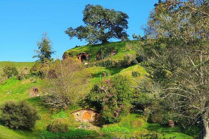 Small-Group Hobbiton Movie Set Tour From Auckland With Lunch - Common questions