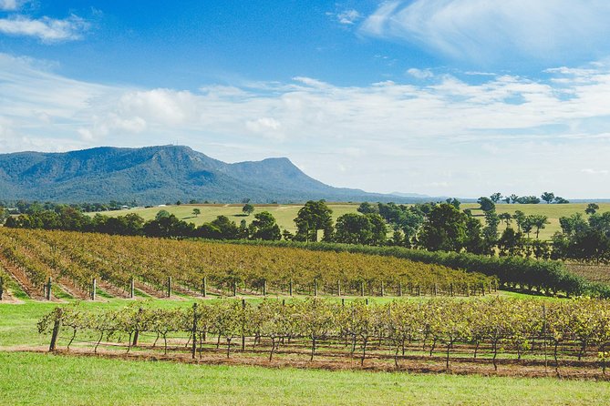 Small-Group Hunter Valley Wine & Cheese Tasting Tour From Sydney - Common questions