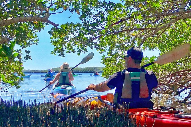 Small Group Kayak Tour of the Shell Key Preserve - Cancellation Policy