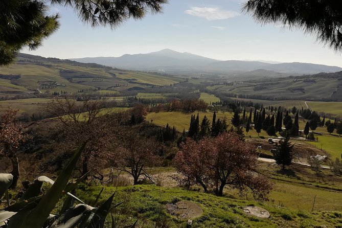 Small-Group Montepulciano and Pienza Day Trip From Siena - Common questions