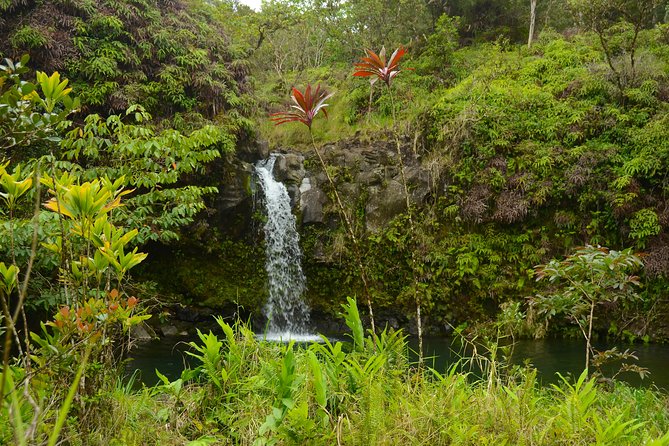 Small-Group Road to Hana Luxury Tour - Additional Feedback