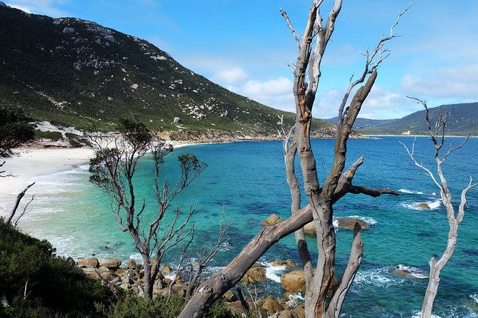 Small Group - Wilsons Promontory Hiking Day Tour From Melbourne - Booking Information