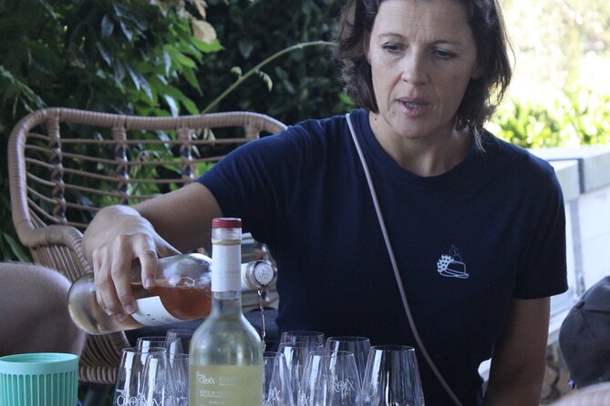 Small Group Wine Tour in the Vineyards of the Gulf of St-Tropez - Expert Guide Insight
