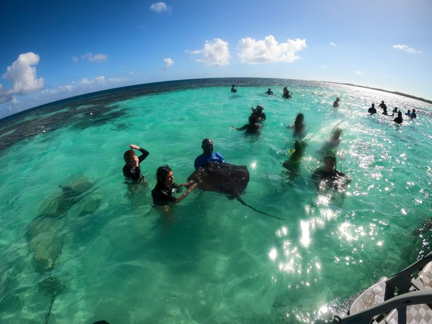 Snorkeling Activity in Stingray City Antigua - Transfer Inc. - Background