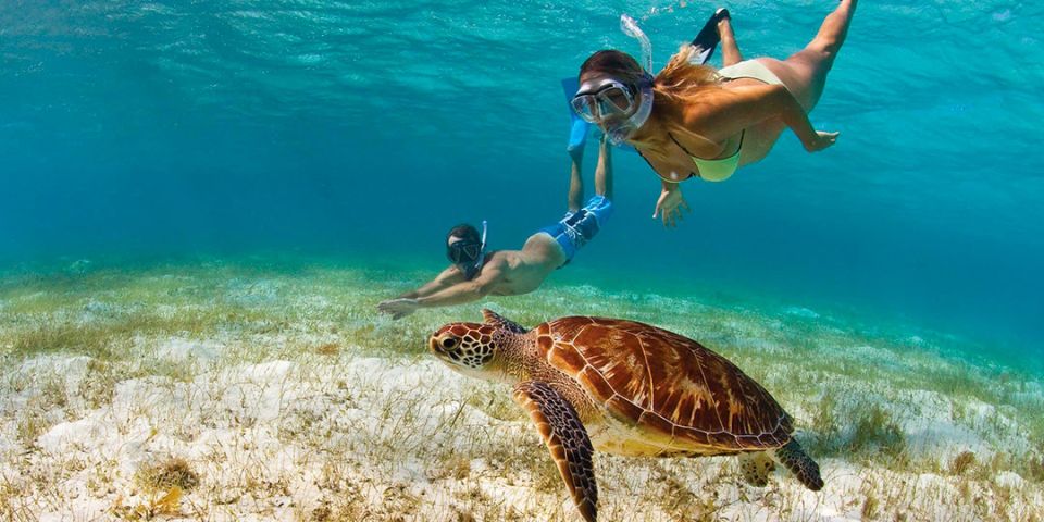 Snorkeling Activity With Boat Ride in Montego Bay - Wildlife Encounters