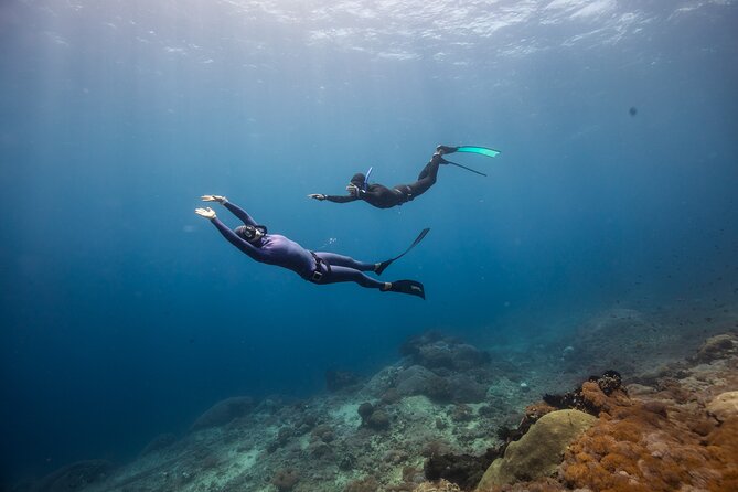 Snorkeling and Freediving Trip Around Nusa Penida - Common questions