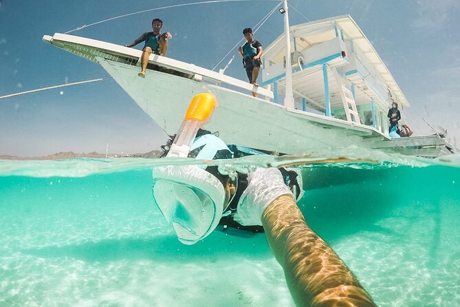 Snorkeling With Turtle and Statue in Gilis - Guided Tours and Packages