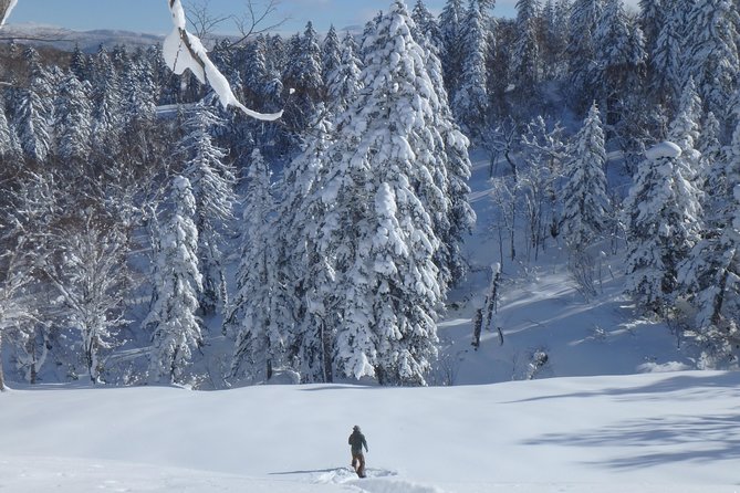 Snowshoe Hike Tour From Sapporo - Onsen Experience