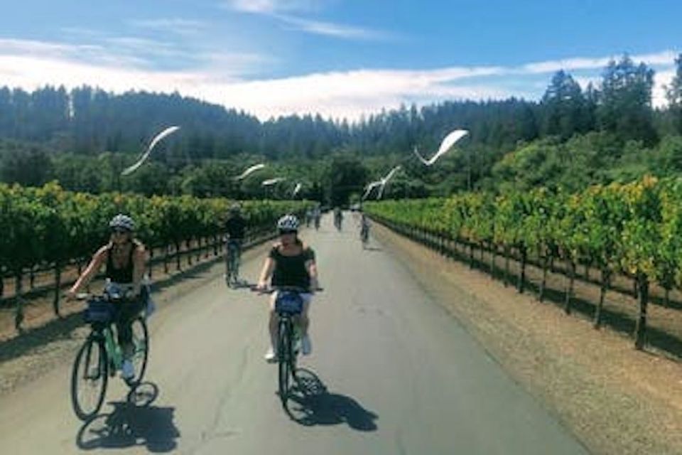 Sonoma County: Wine Tasting and Biking in Healdsburg - Product Information