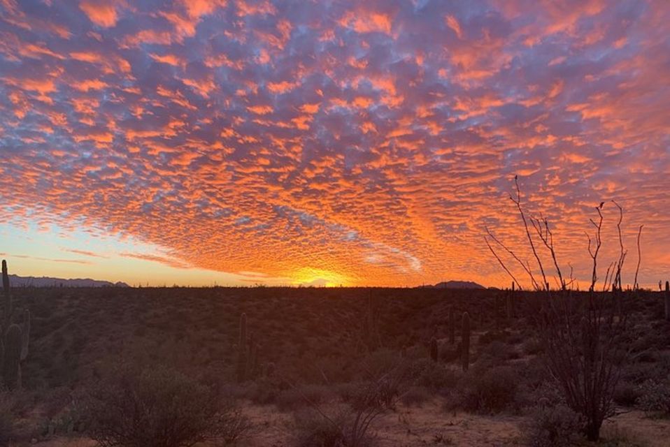 Sonoran Desert: Sunset Jeep Tour With Tonto National Forest - Convenient Meeting Point and Trail Access