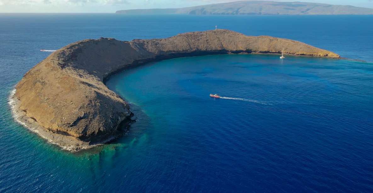 South Maui: Molokini Crater and Turtle Town Snorkeling Trip - Common questions