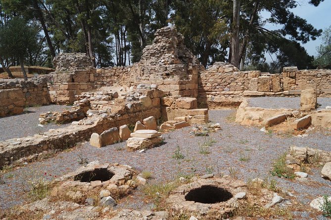 Sparta and Ancient Landmarks Full-Day Private Tour From Athens - Customer Reviews