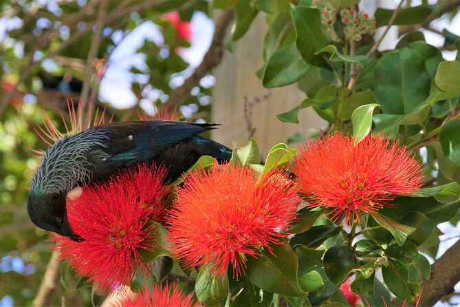 Spectacular Wellington: Full Day Private Sightseeing Tour - Booking Information