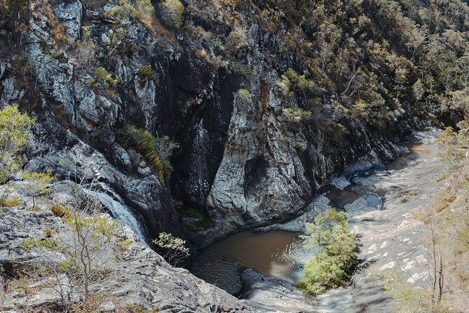 Springbrook Andtamborine Rainforest Tour Incl Natural Bridge and Glow Worm Cave - Common questions