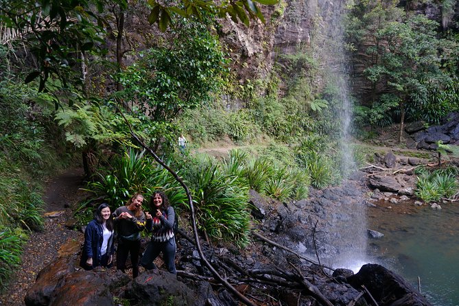Springbrook National Park Shared Waterfalls Tour  - Surfers Paradise - Important Notes