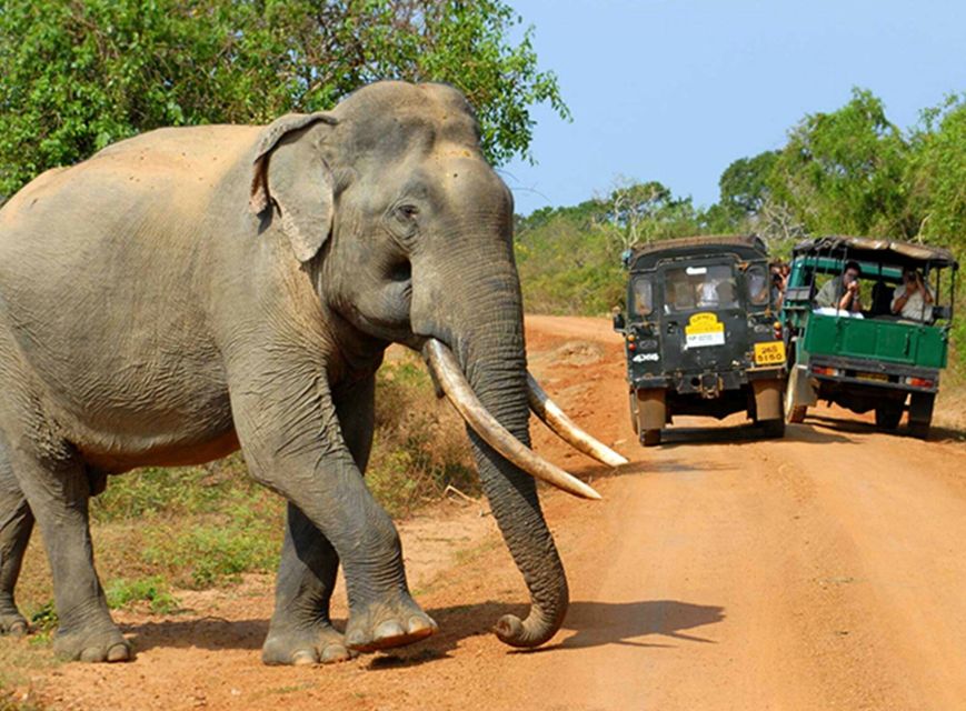 Sri Lanka Full Circle on Beaten Path-4 Days Tour - Specific Activities