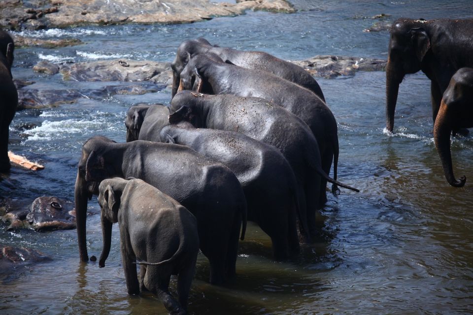 Sri Lanka Hill Country Train Trip, Kandy, Nuwara Eliya 2-Day - Pickup Options