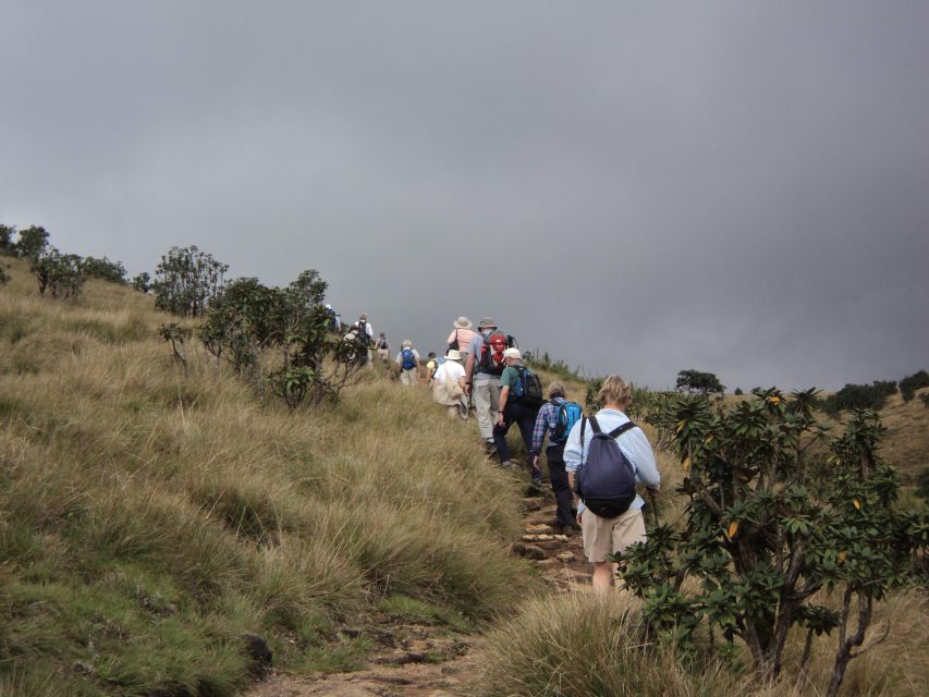 Sri Lanka Holidays With One Week Trekking the Pekoe Trail - Exploring the Tea Plantations