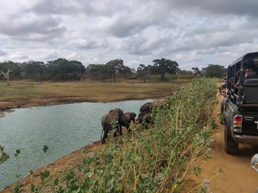 Sri Lanka: Yala National Park Private Safari - Common questions