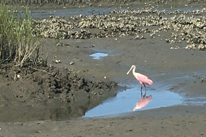 St. Augustine Sightseeing Boat Tour  - St Augustine - Common questions