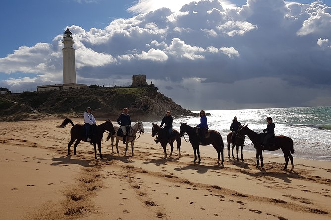 Stunning Sundown Beach Ride ... on Horseback! - Maximum Weight Limit and Traveler Requirements