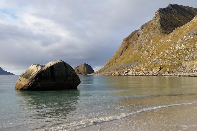 Summer Full-Day Guided Tour of the Lofoten Islands - Additional Details
