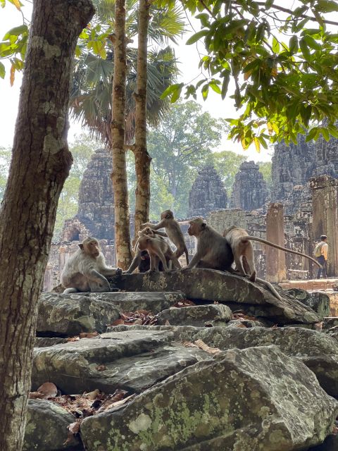 Sunrise in Angkor and Banteay Srei Private Tour - Common questions