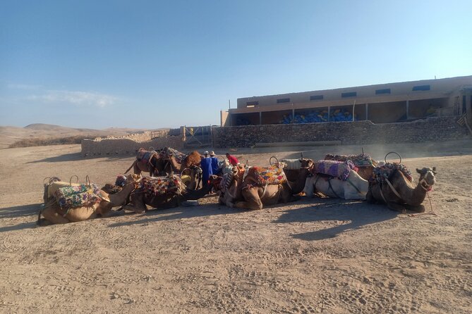 Sunset Camel Ride Agafay Desert Marrakech - Additional Information