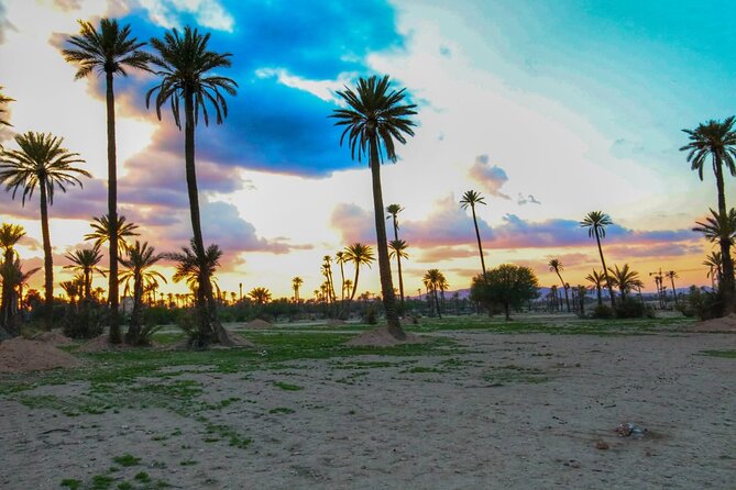 Sunset Camel Ride in the Palm Grove Of Marrakech - Booking Terms