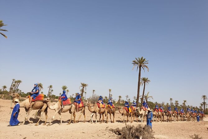 Sunset Camel Ride Marrakech Palmeraie - Comfortable SUV Pick-Up