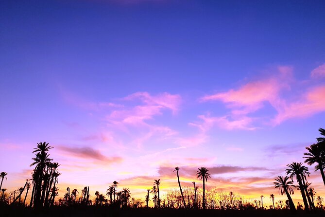 Sunset Camel Ride Tour in Marrakech Palm Grove - How to Prepare