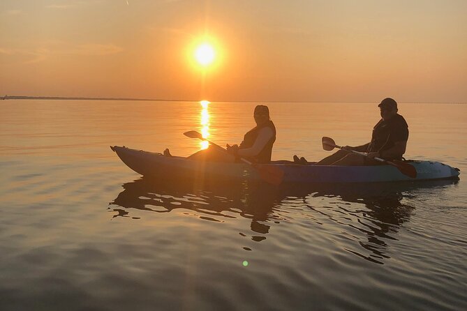 Sunset Dolphin Kayak Tours - Host Responses