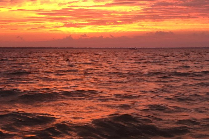 Sunset Dolphin Watching Cruise in Destin Harbor - Common questions