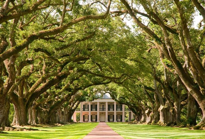 Swamp Boat Ride and Oak Alley Plantation Tour From New Orleans - Tour Guides