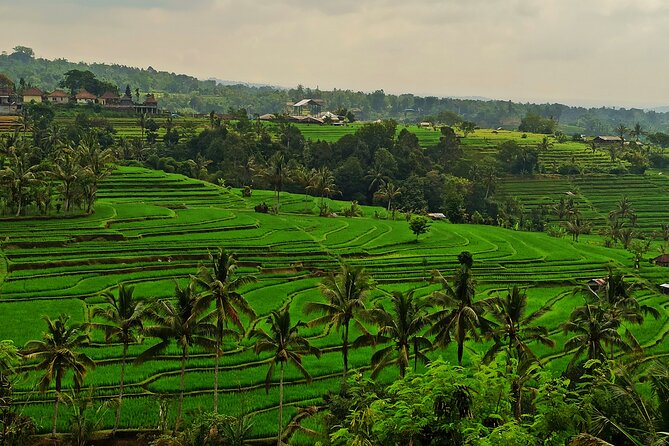 Tanah Lot Private Tour - Cancellation Policy