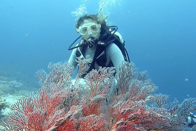 Taormina Scuba Diving Experience - Reviews and Additional Details