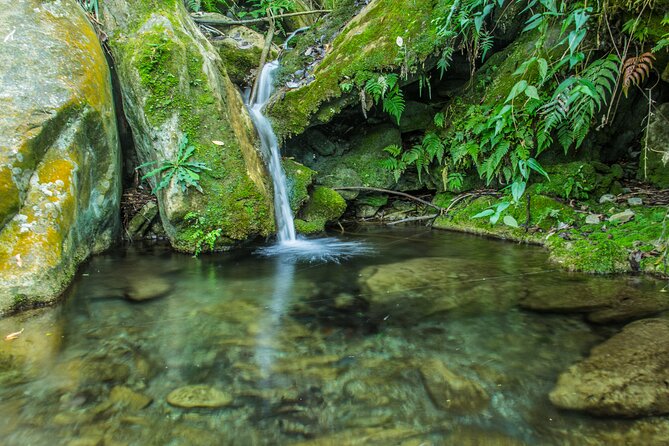 Taroko Wenshan Green Water Trail / Group of 4 - Common questions