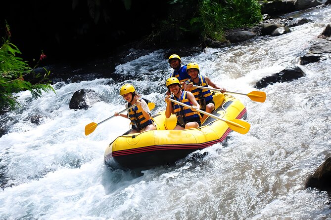 Telaga Waja White Water Rafting - With No Step or Stair : Bali Best Adventures - Safety Measures and Professional Guides