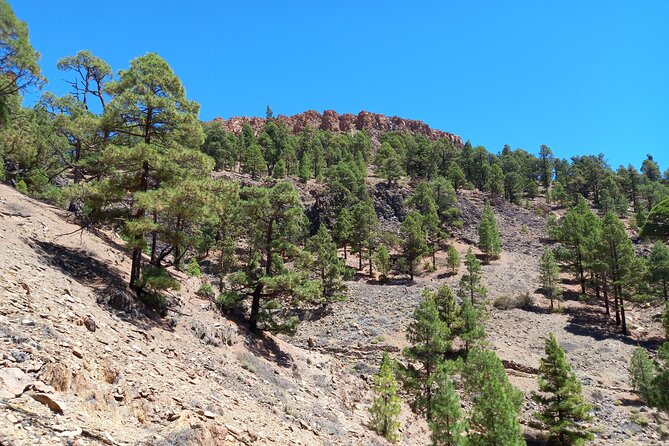 Tenerife Guided Hiking Tour (Mar ) - Common questions