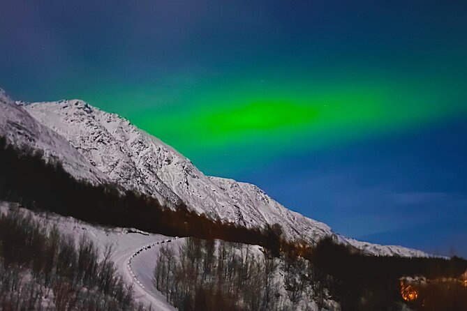 The Aurora Tour - Small Group 4 Ppl, Northern Lights - Northern Lights Photography Tips