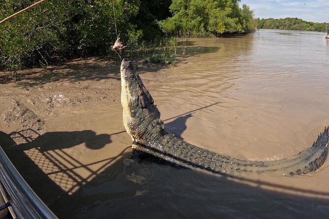 The Croc Bus to the Famous Jumping Crocodile Cruise - Last Words