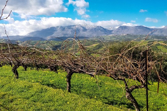 The Gourmet Wine Tour of Heraklion Area - Tour Logistics and Details