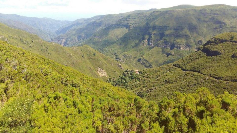 The High Plateaus of the West : Fanal and Bica Da Cana - Last Words